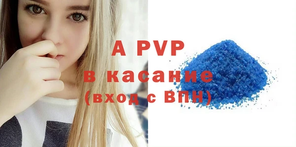 гашик Богданович