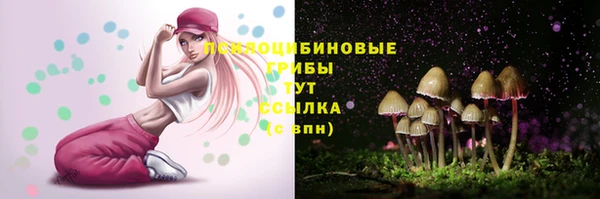 крисы Белокуриха