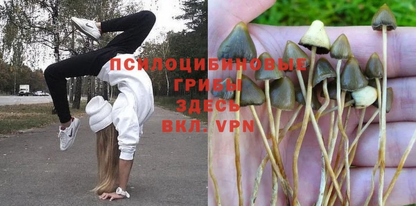 крисы Белокуриха