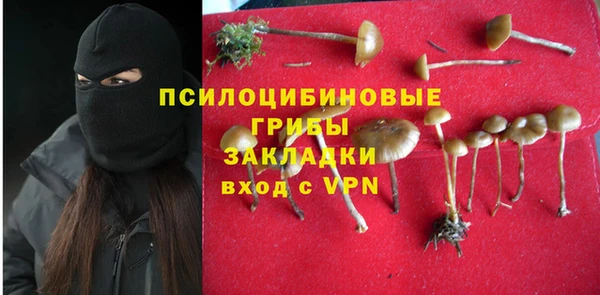 крисы Белокуриха