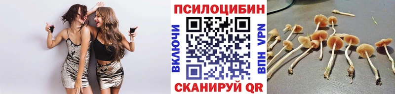 мега ТОР  купить закладку  маркетплейс наркотические препараты  Галлюциногенные грибы GOLDEN TEACHER  Киреевск 